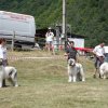 HERA Canisa de Manastireni - stanga IZIN de Runc - mijloc Spiritul Mioriticului GETA - dreapta